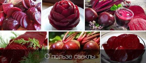 5 оригинальных рецептов диетических блюд со свеклой