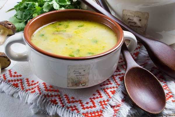 Суп из маслят, рецепт приготовления