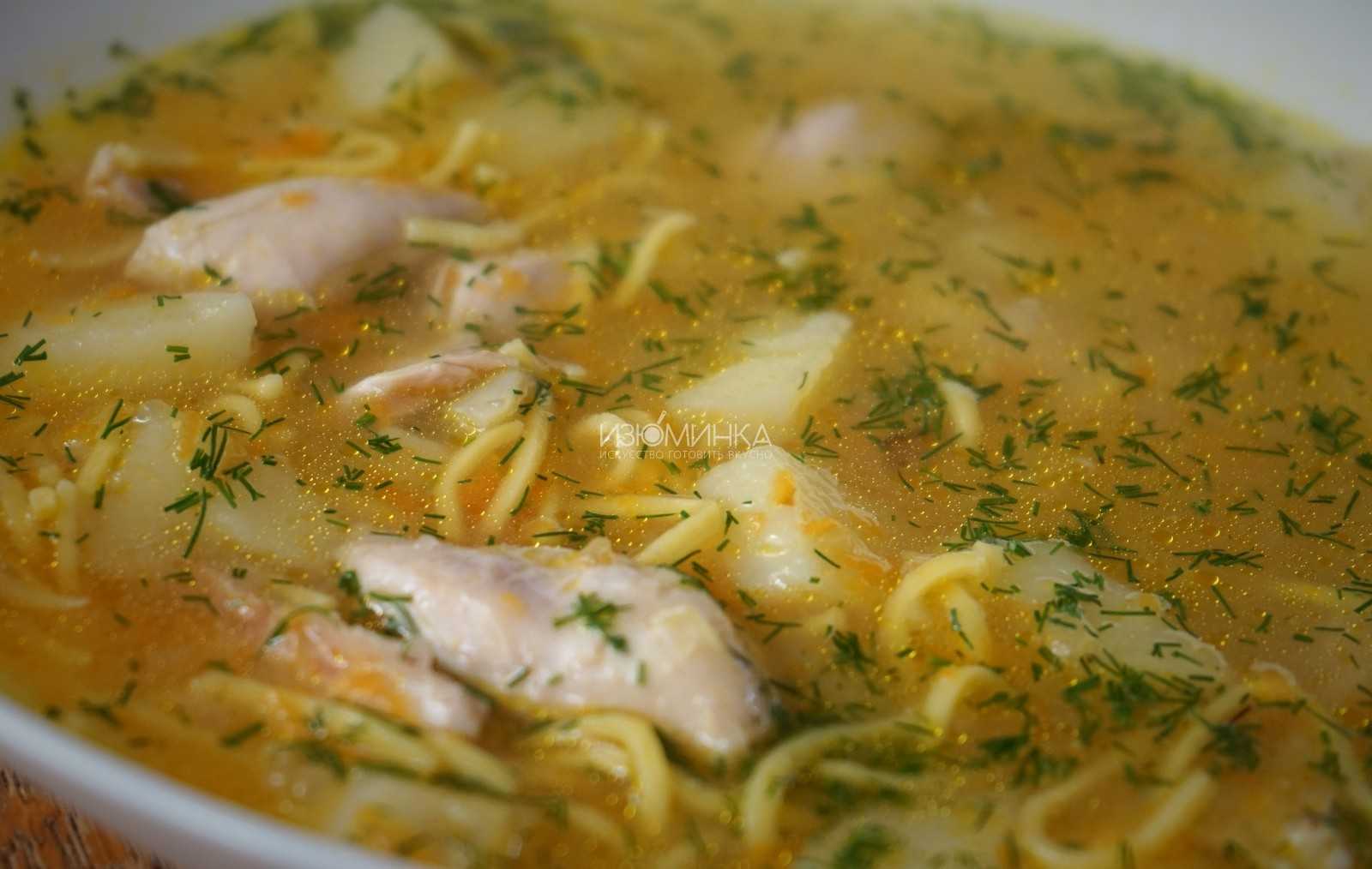 Суп с вермишелью и курицей рецепт с фото с картошкой и