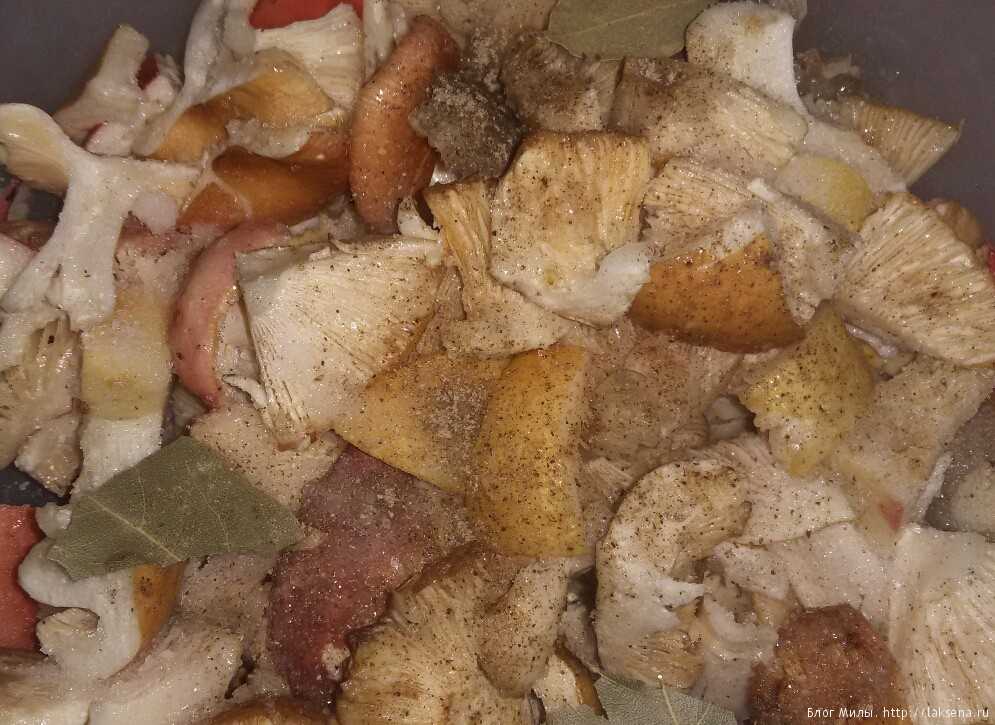 Рецепт вкусного супа из свежих сыроежек