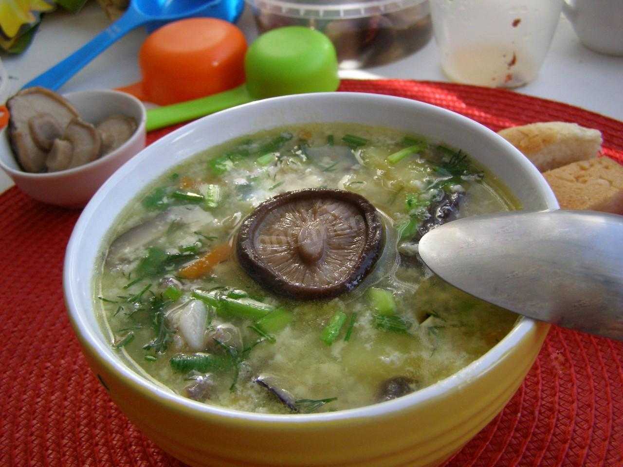 Как приготовить из соленых грибов суп. суп из соленых грибов мультиварке. куриный суп с маринованными грибами