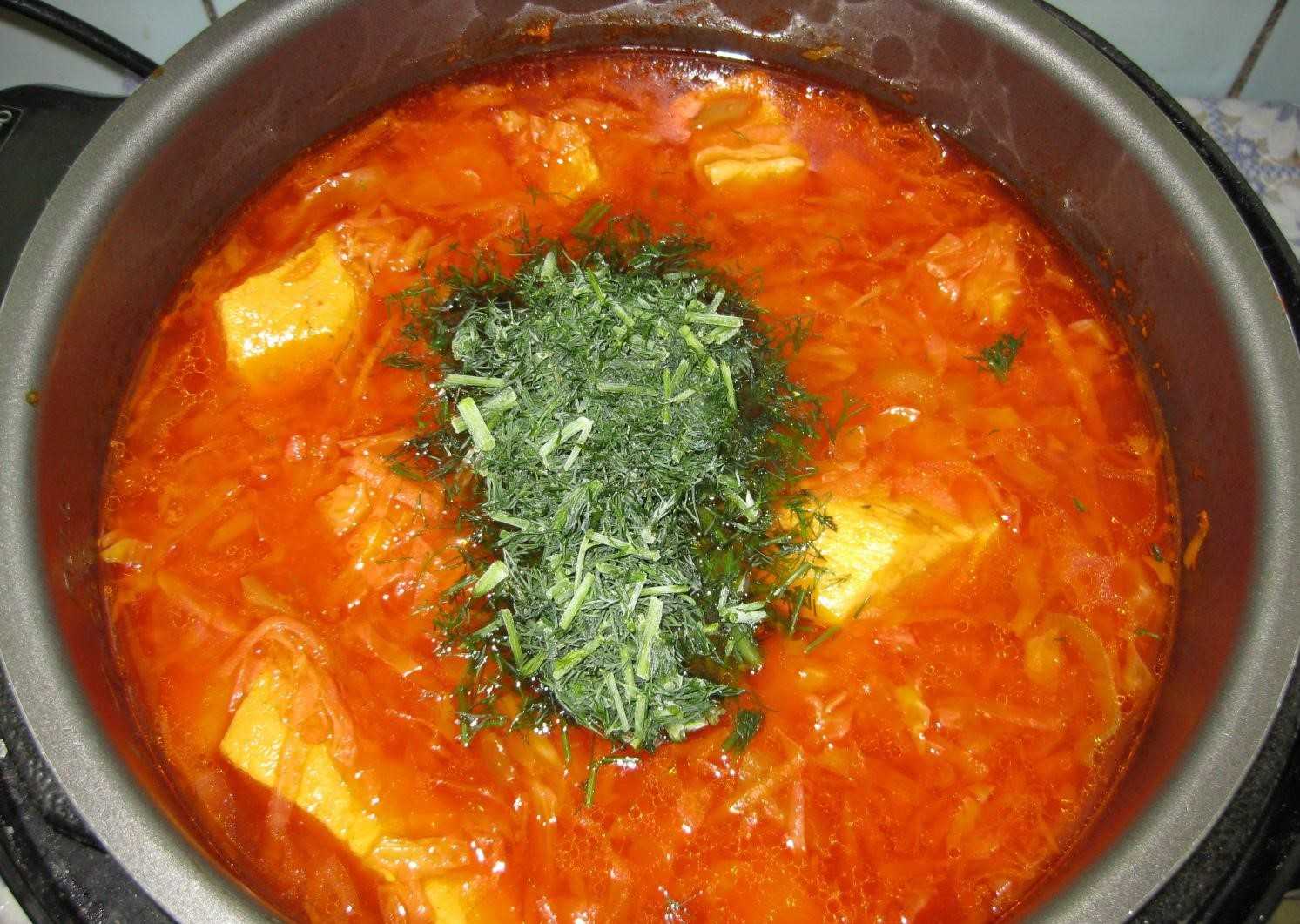 Борщ с щавелем – рецепт приготовления летнего зеленого супа