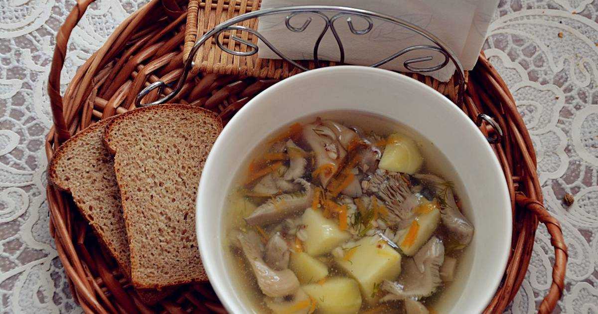 Грибной суп на мясном бульоне пошаговый рецепт быстро и просто от олега михайлова