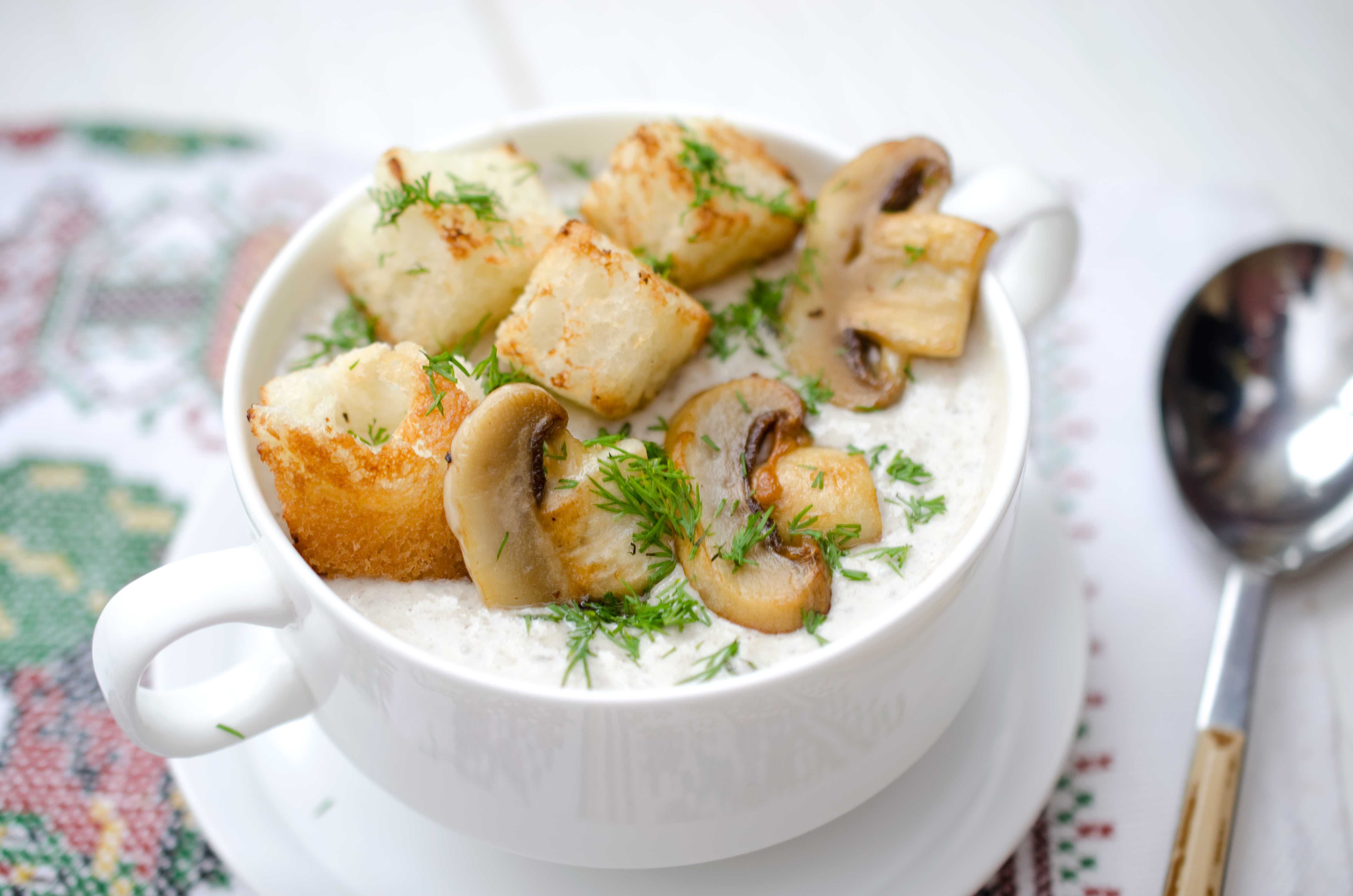 Грибной суп из шампиньонов — 8 рецептов приготовления супа