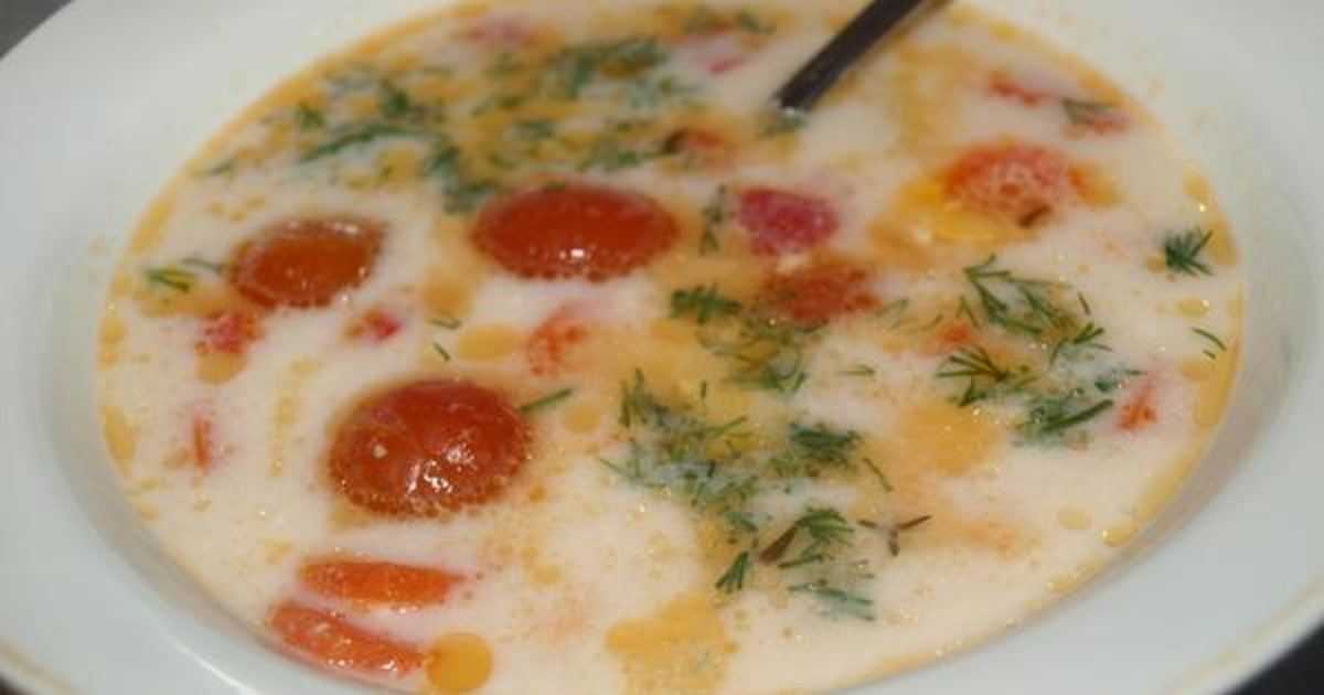 Уха из форели с сыром рецепт с фото - 1000.menu