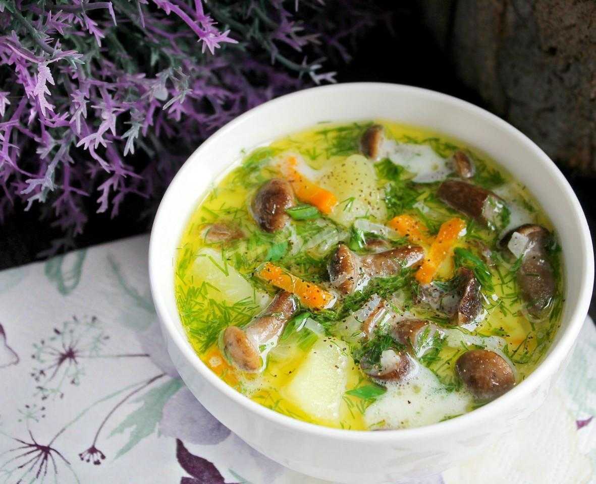 Грибной суп из свежих белых грибов — самые вкусные рецепты