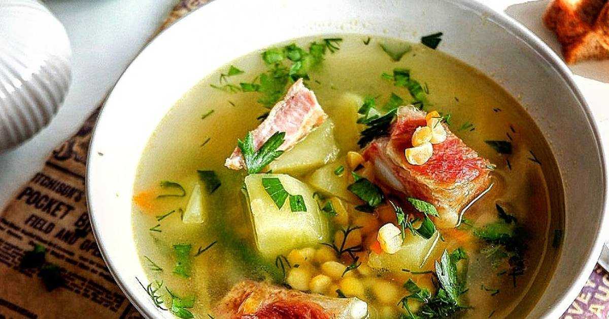 Суп из куриных костей - 3 способа приготовления | kusoksala.ru