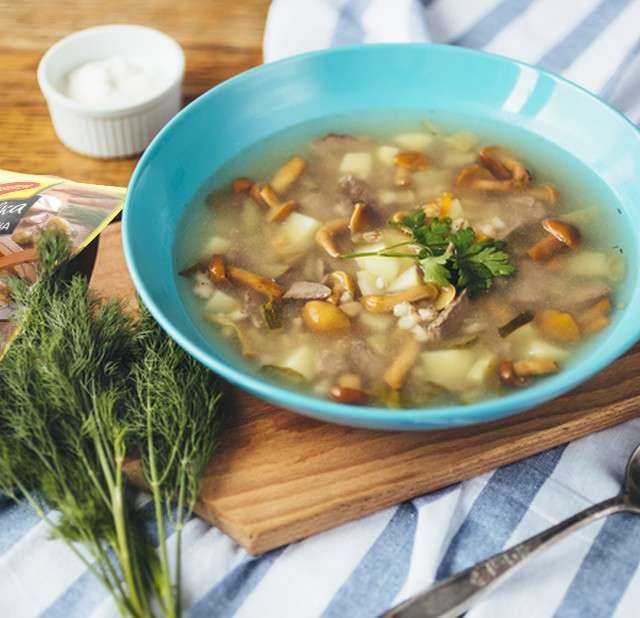 Супы из замороженных опят: рецепты вкусных первых блюд