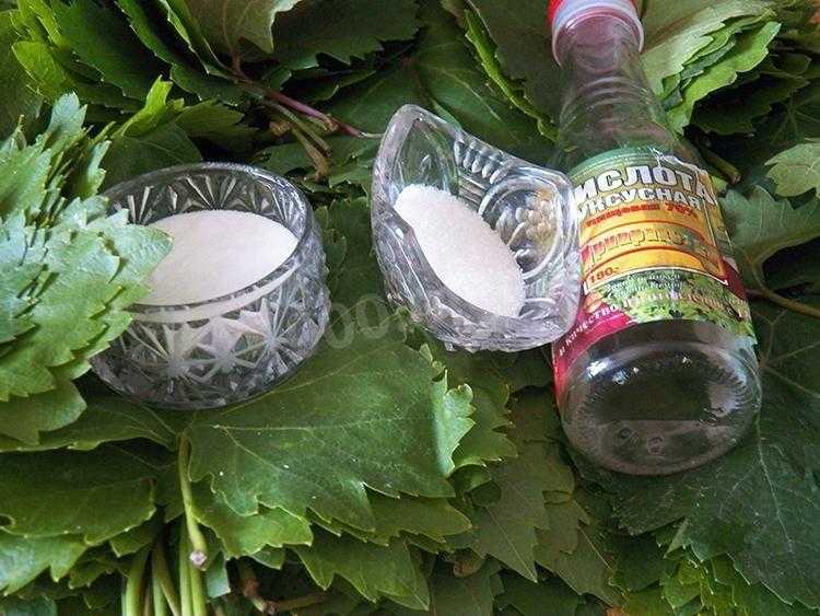ᐉ французское блюдо из улиток виноградных - варианты приготовления - my-na-dache.ru