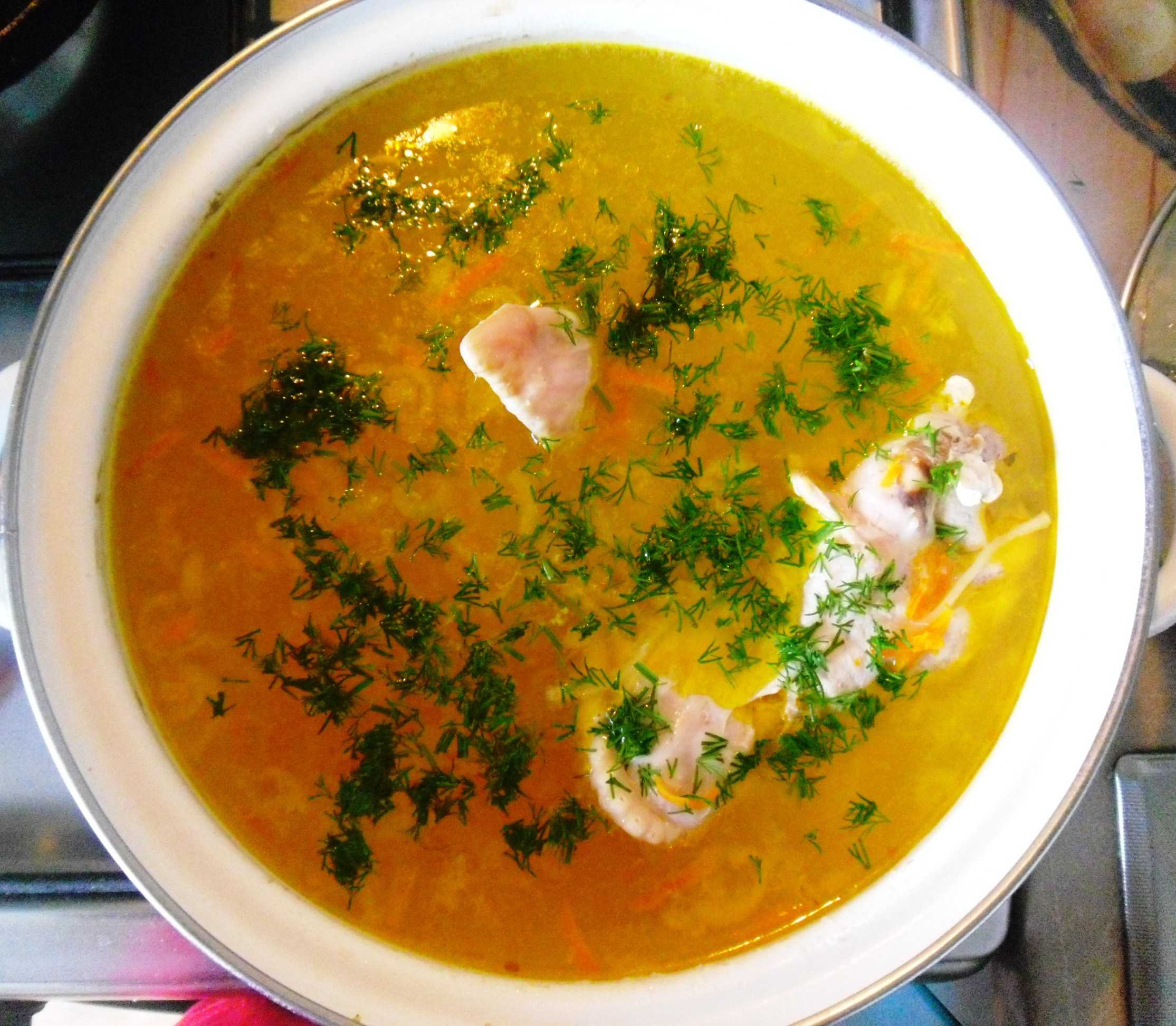 Овощной суп с индейкой рецепт с фото пошагово