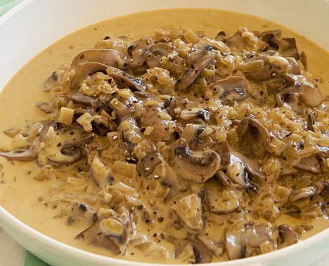 Грибной бульон — лучшие рецепты. как правильно и вкусно приготовить грибной бульон.