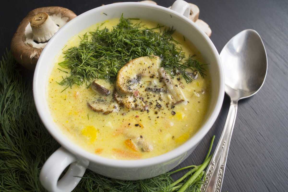 Суп с шампиньонами и курицей – согревающая основа первых блюд: рецепт с фото и видео