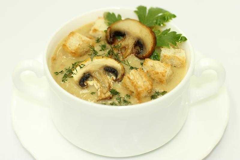 Грибной суп из шампиньонов — 8 рецептов приготовления супа