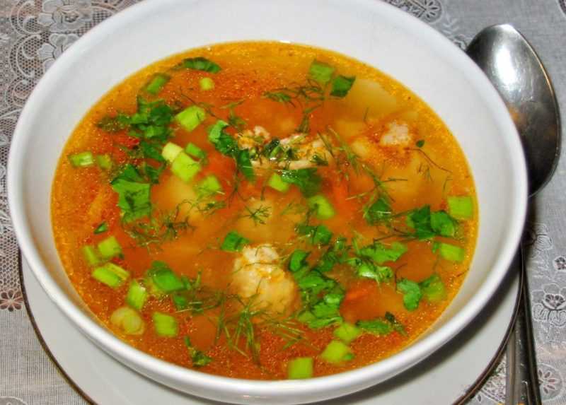 Суп с фрикадельками из индейки - самый вкусный рецепт приготовления