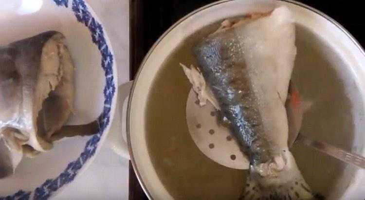 Рыбный суп из кеты
