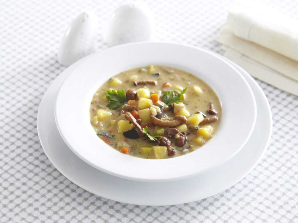 Грибной суп из опят: как приготовить вкусно и быстро