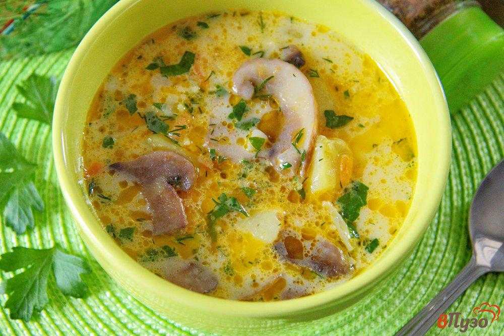 Сырный суп с плавленным сыром и грибами рецепт с фото пошагово - 1000.menu