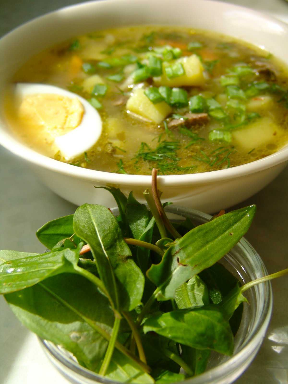 Щавелевый суп с яйцом - классические пошаговые рецепты супа из щавеля