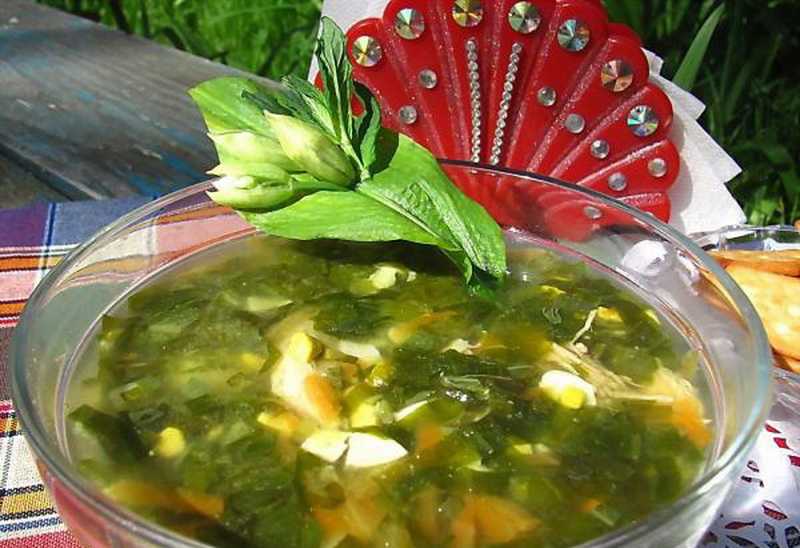 Борщ с щавелем – как приготовить легкий летний суп по самому правильному и точному рецепту