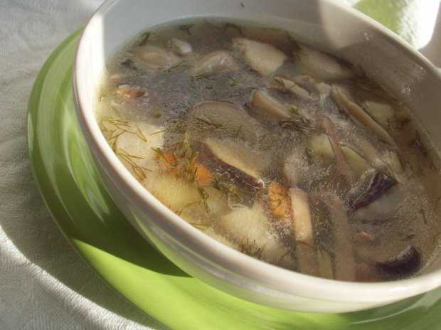 Суп из свежих белых грибов свежих рецепт с фото
