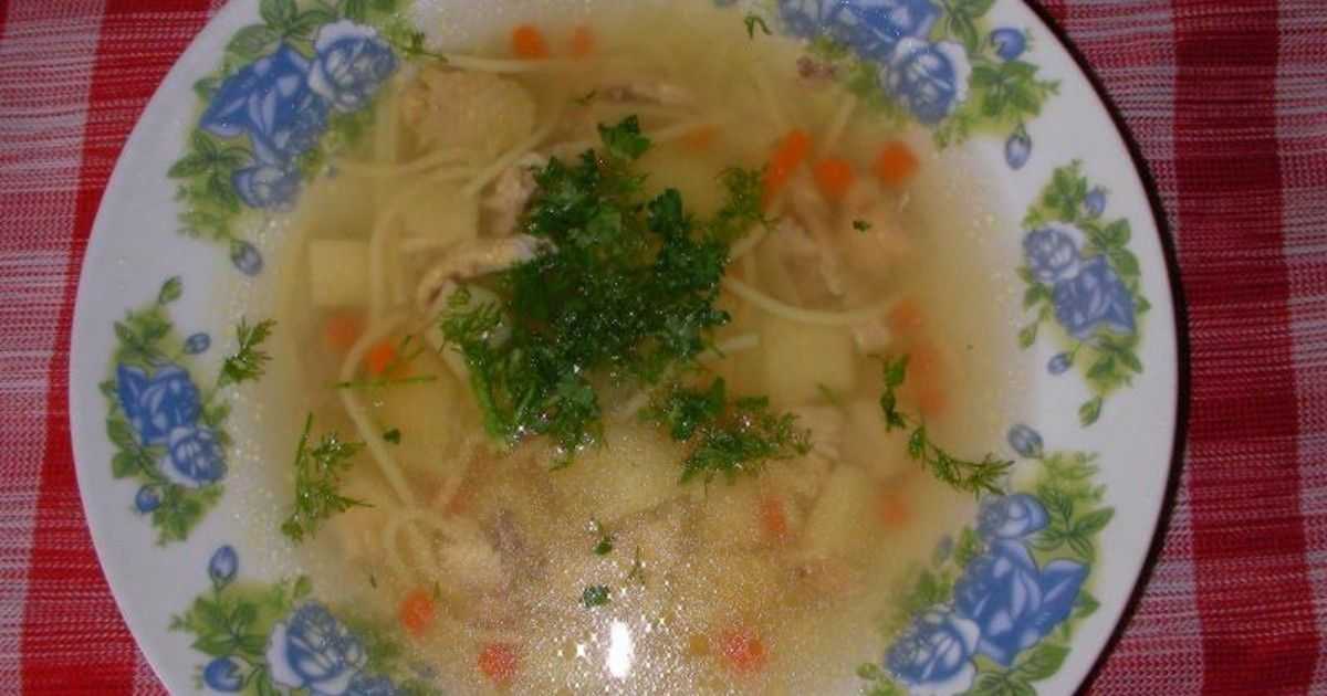 Куриный суп с вермишелью. с картофелем и без. 9 рецептов вкусного обеда для всей семьи