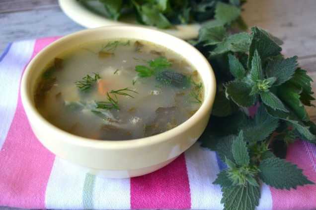 Крапивный суп с яйцом. Суп из крапивы. Суп с крапивой и клецками. Уха с крапивой.