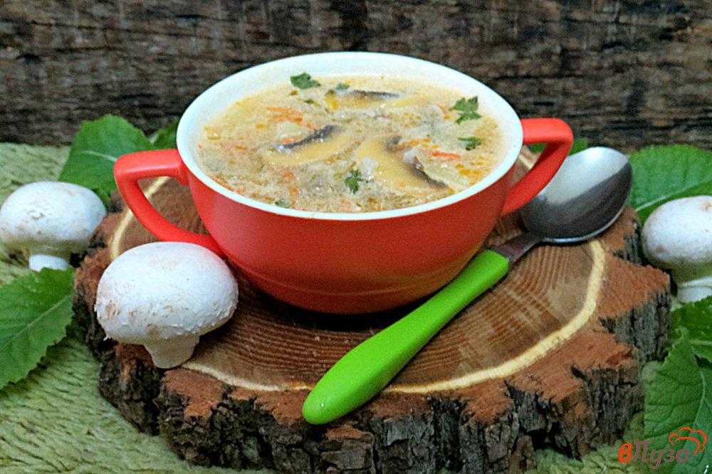 Рассольник с почками — лучшие рецепты. как правильно и вкусно приготовить рассольник с почками | прекрасная леди