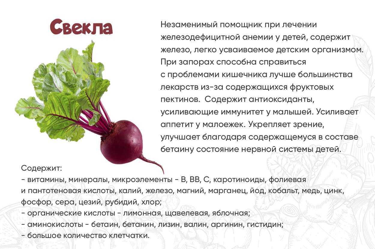 Свекольное суп пюре из свеклы рецепт с фото - 1000.menu