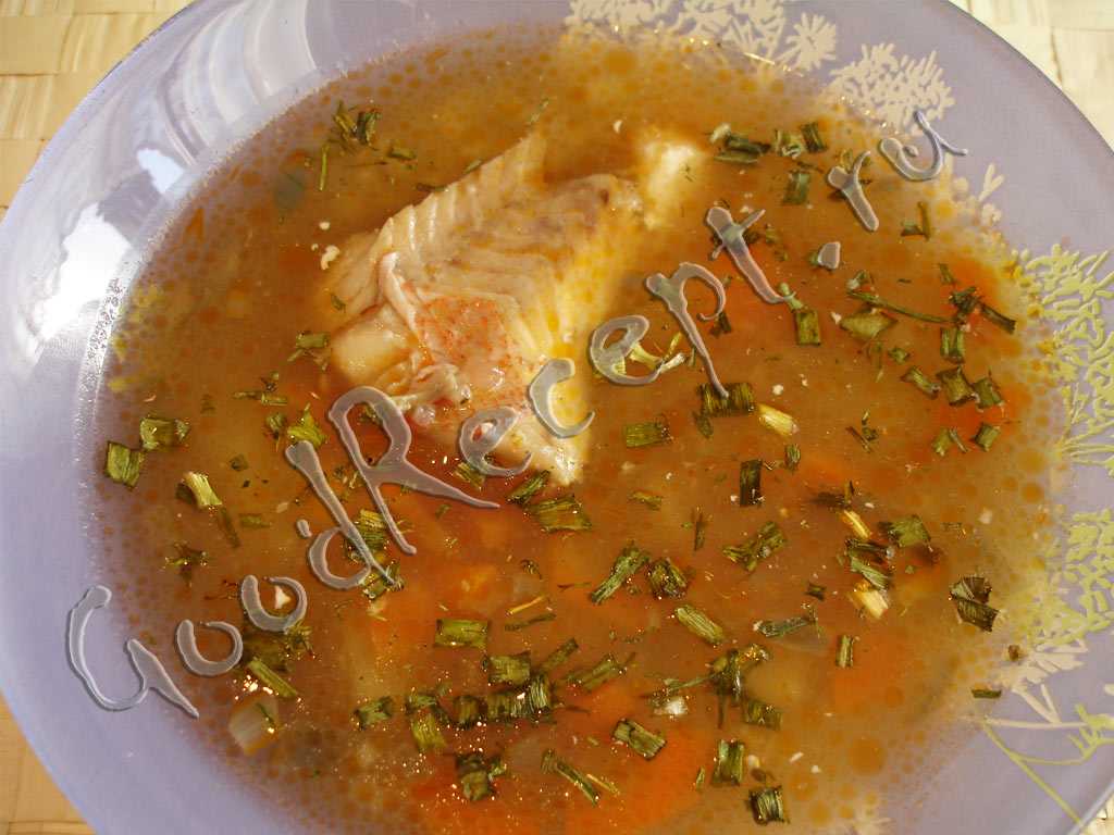 Супы из морского и речного окуня, 20 рецептов, фото-рецепты / готовим.ру