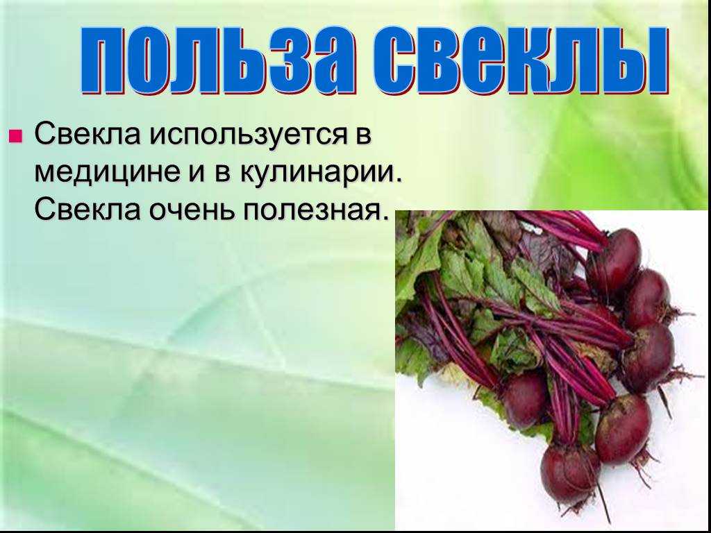 Проект на тему свекла