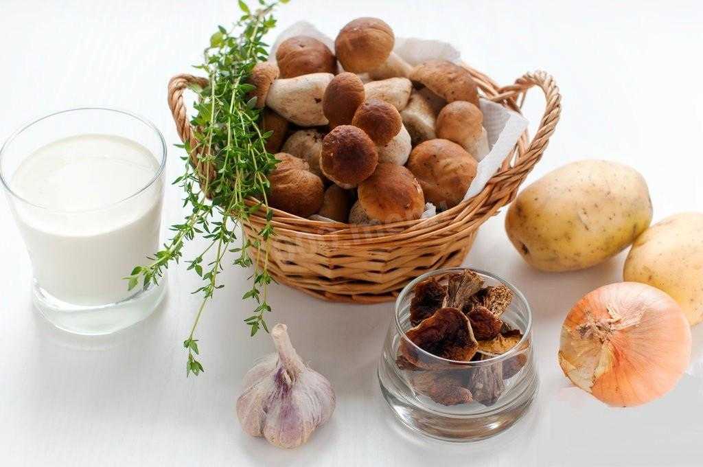 Суп из сушеных грибов – лучший классический рецепт приготовления