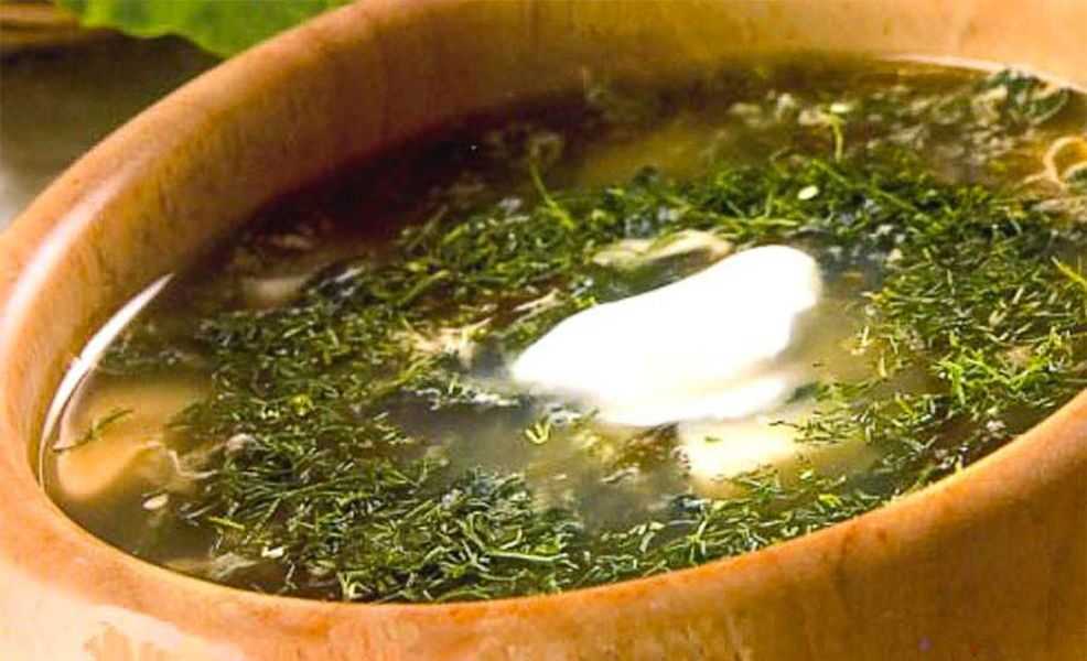 Зеленый борщ с щавелем и яйцом — 9 простых и вкусных рецептов зеленого борща
