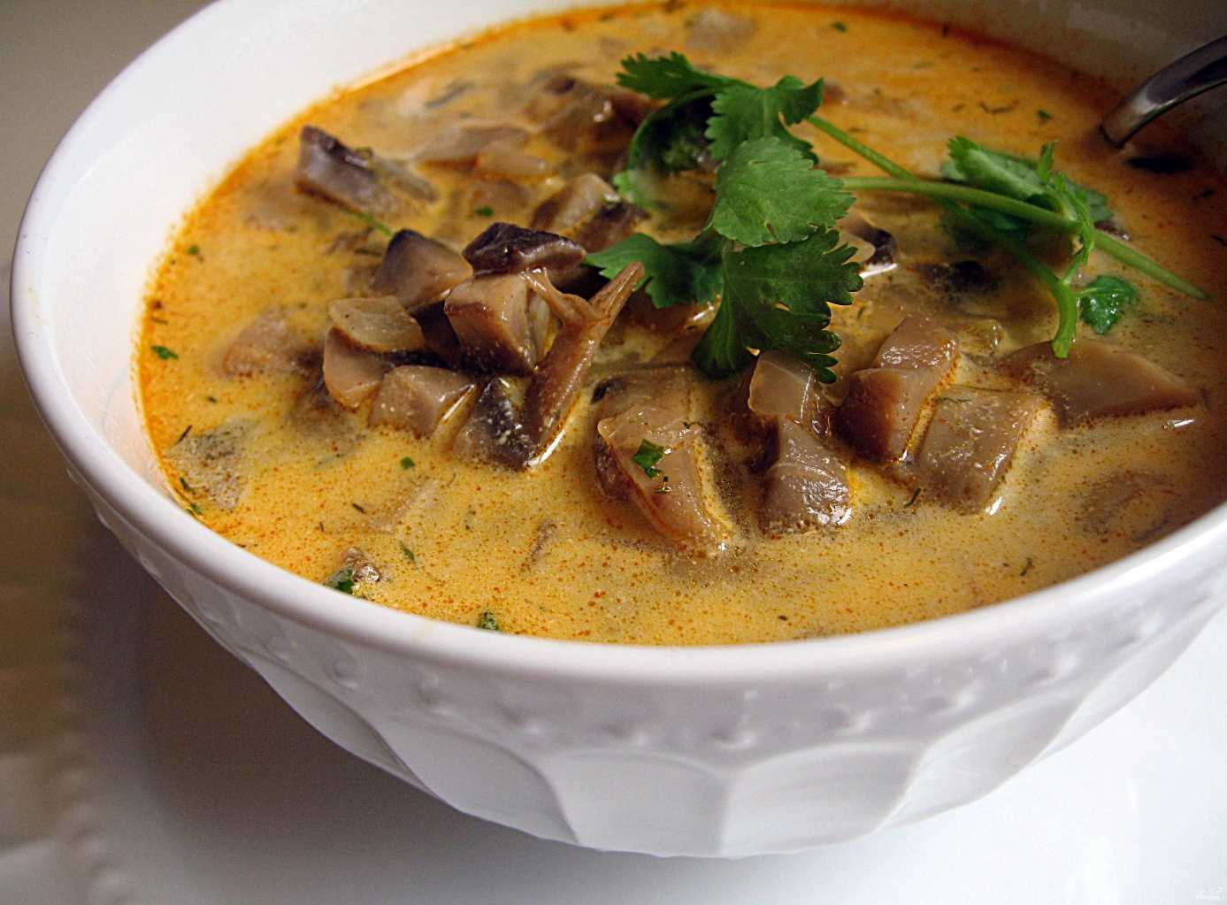Супы с грибами и картошкой: рецепты, как приготовить простой грибной суп с картофелем