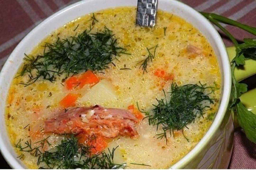 Овощной суп на курином бульоне — как сварить вкусный лёгкий суп