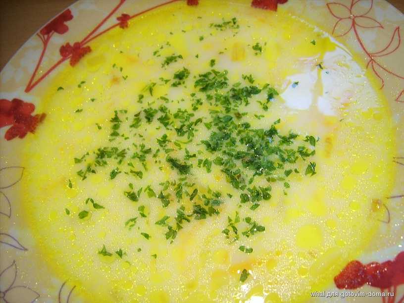 Сырный суп из твердого сыра пошаговый рецепт быстро и просто от ирины наумовой