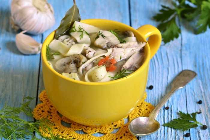 Рецепты куриный суп с шампиньонами