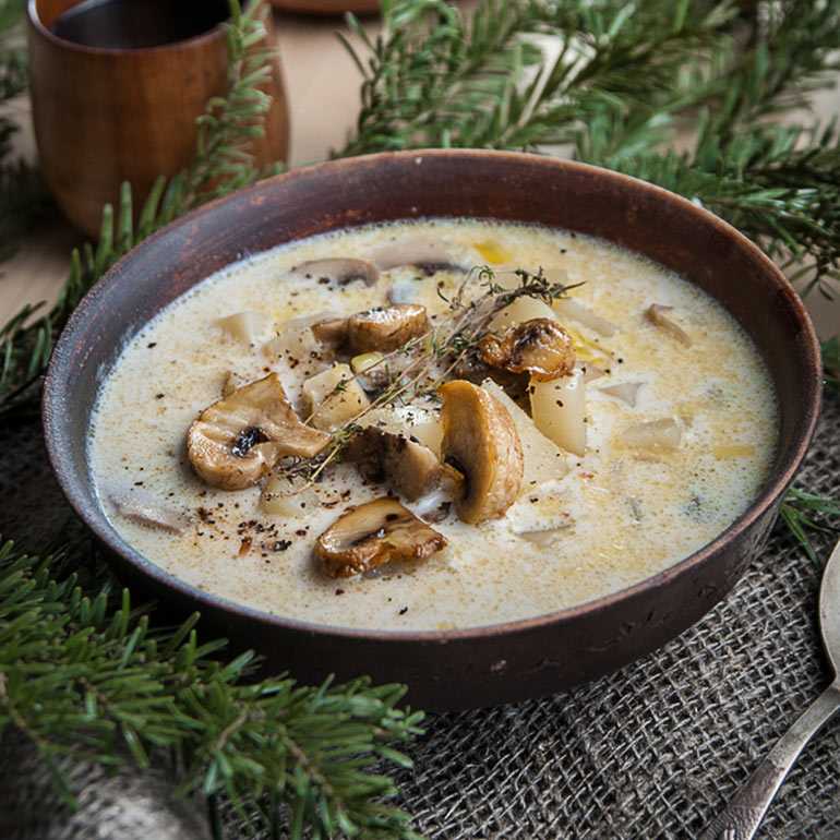 Рецепт супа с сушеными белыми грибами с фото