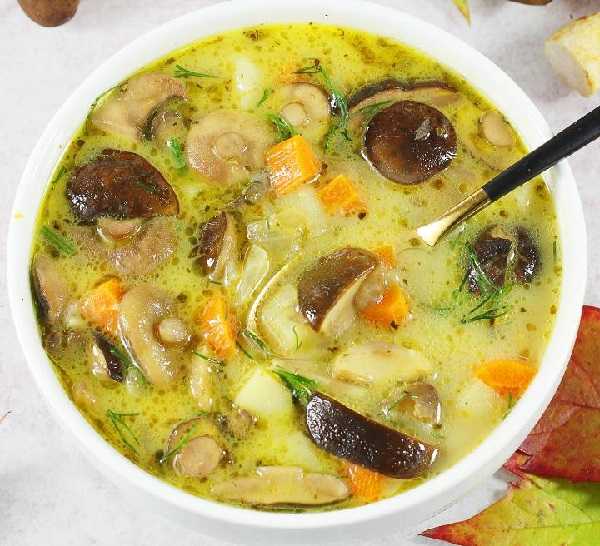 Супы с грибами и картофелем: рецепты первых блюд