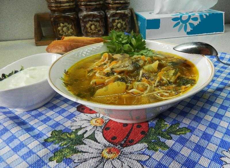 Грибной суп пюре из шампиньонов со сливками рецепт с фото пошагово - 1000.menu